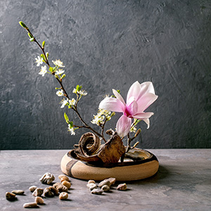 Ikebana